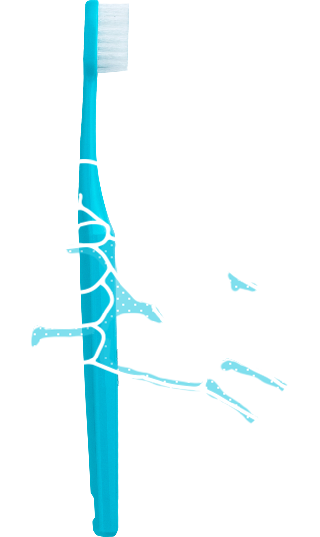 3%